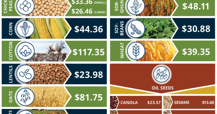 Farmers to receive $12 billion in bailouts