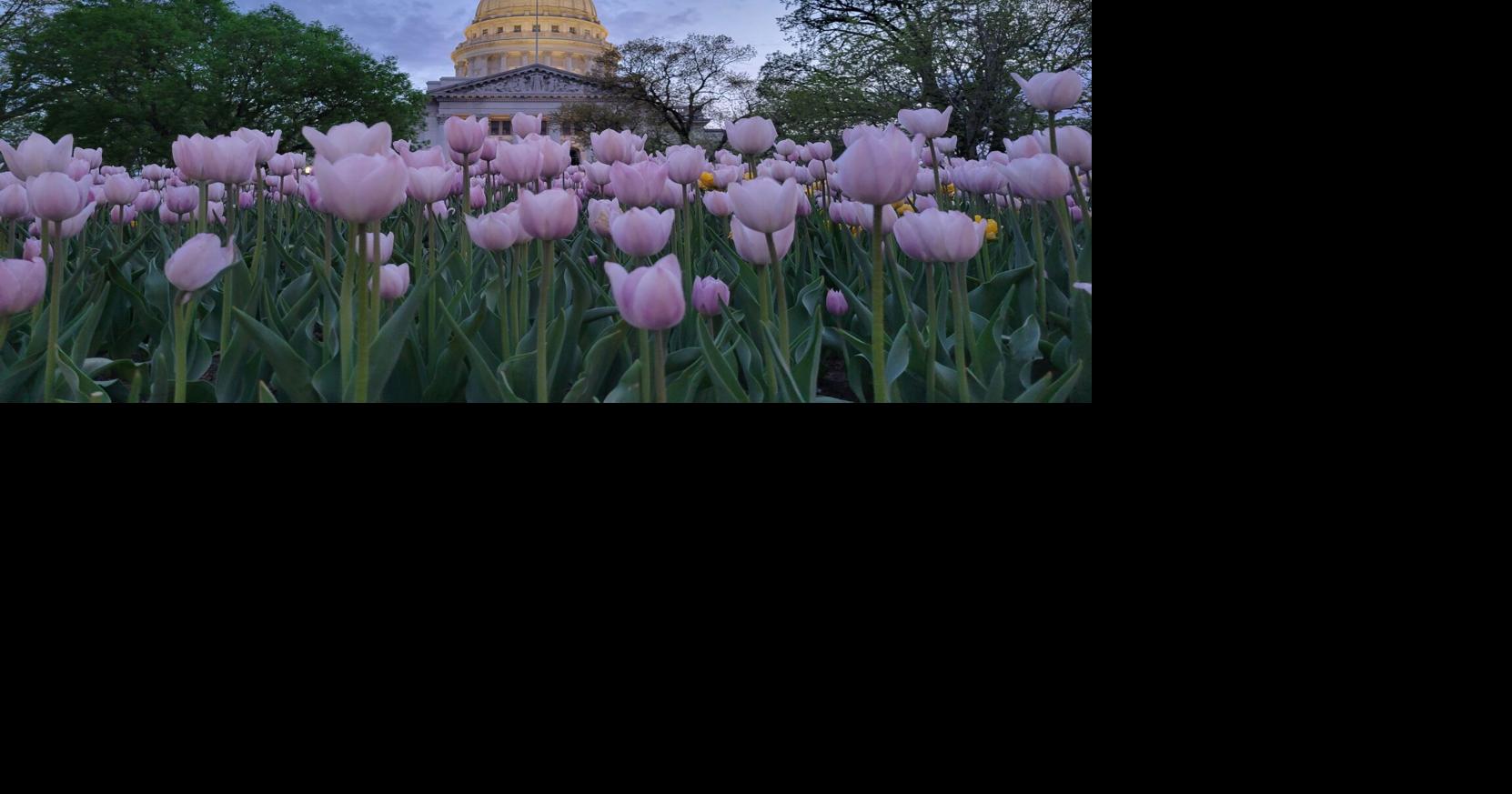 Dane County Farmers’ Market begins April 11