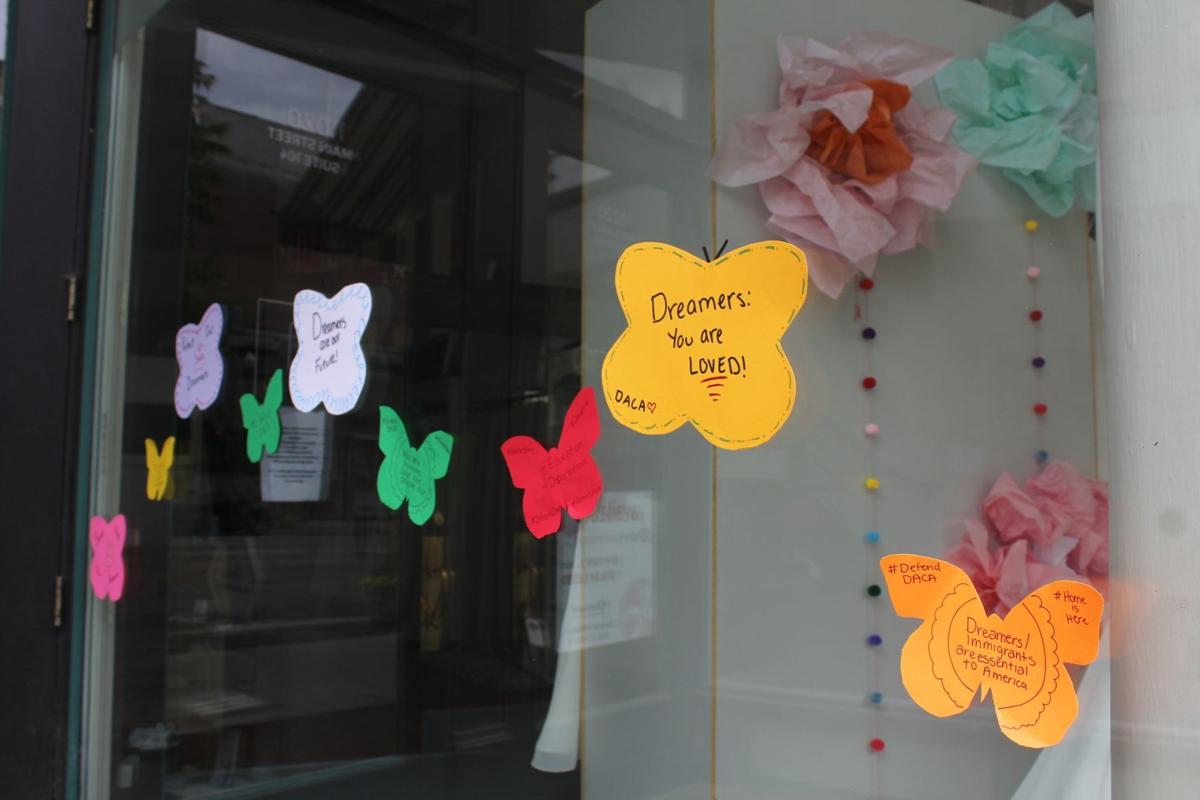 Migration Project butterflies