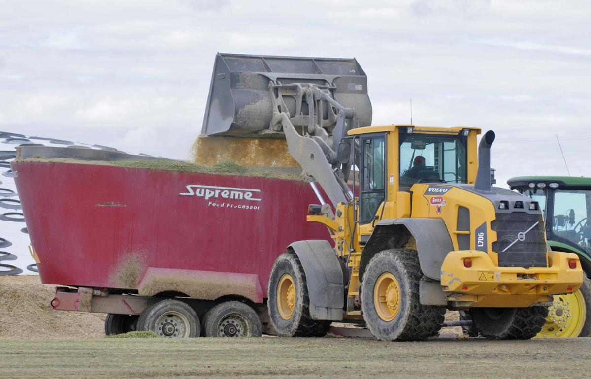 Liberty ridge farm coupon