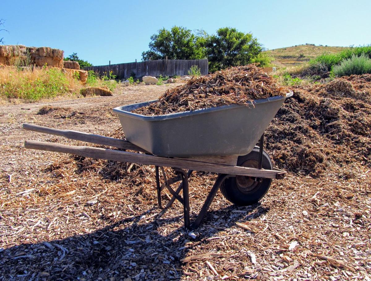 Weed it and reap Use wood chips for weed control Life