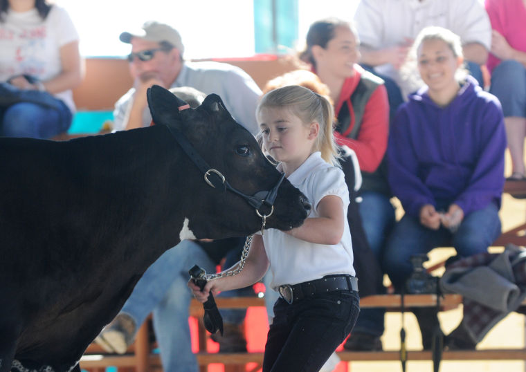 Meridian Dairy Days