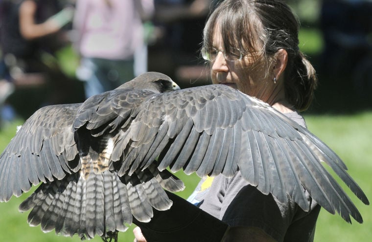 BioBlitz Festival Saturday At Lake Lowell | Local News | Idahopress.com