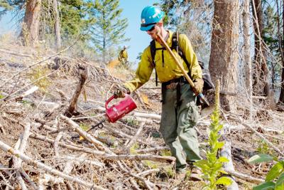 Prescribed burns announced for Boise National Forest locations | Local