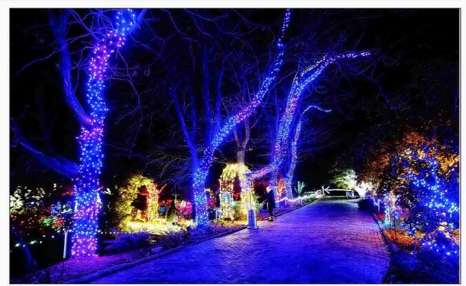 Winter Garden a Glow lights up Idaho Botanical Garden, Boise with ...