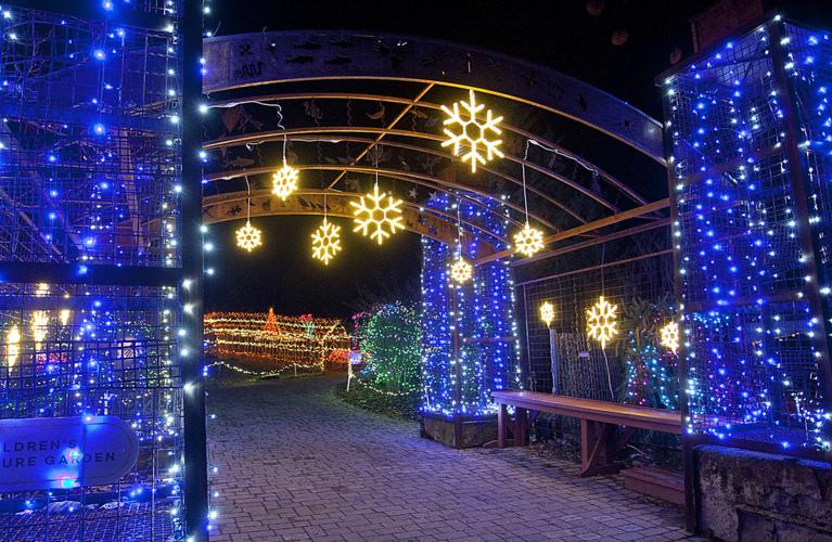 Winter Garden aGlow returning to the Idaho Botanical Garden Local