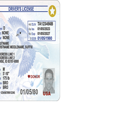 Ada County announces appointment-free license, Star Card service