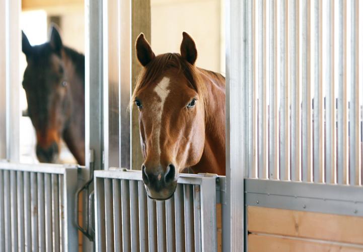Idaho Youth Ranch opens indoor equestrian center Local News