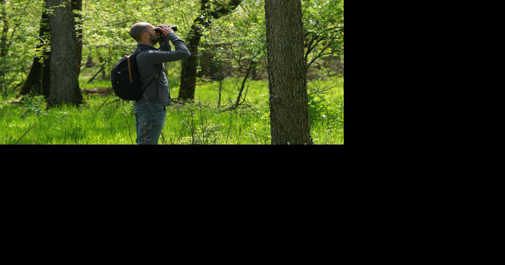 A Serbian bird-watching group uses crowdfunding to buy and preserve a woodland habitat