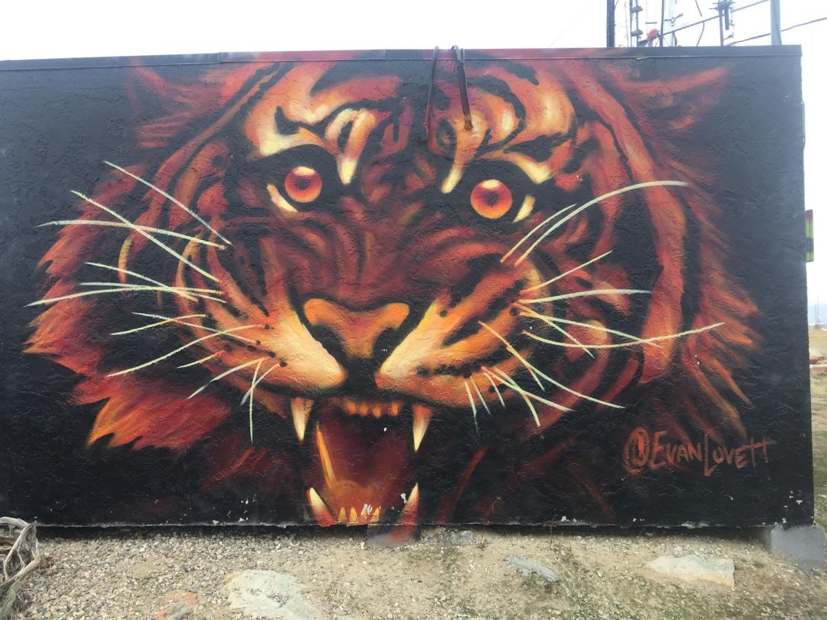 Sector Seventeen Two Artists Some Spraypaint And A Lot Of Talent