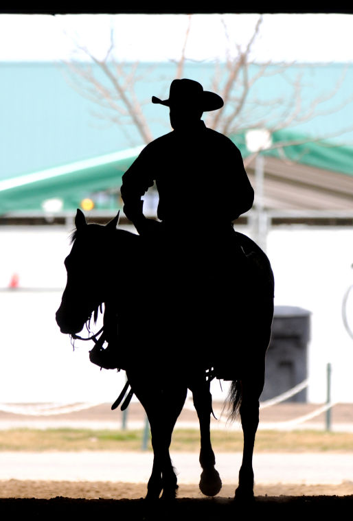 Cutting Horse Event Photo Gallery