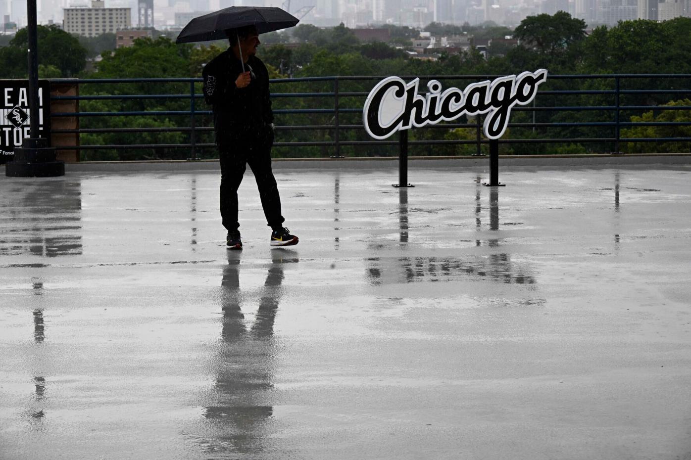 chicago white sox patio umbrella Guardians White Sox Baseball | National Sports
