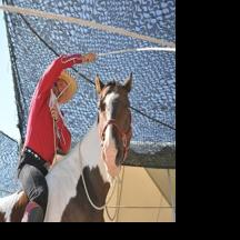 Rhinestone Roper rides again | Complete news coverage | idahopress.com