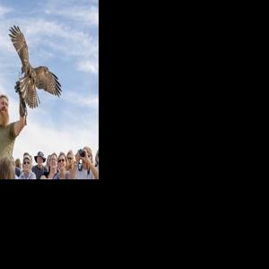 Simpson successfully adds Peregrine Fund funding in appropriations bill