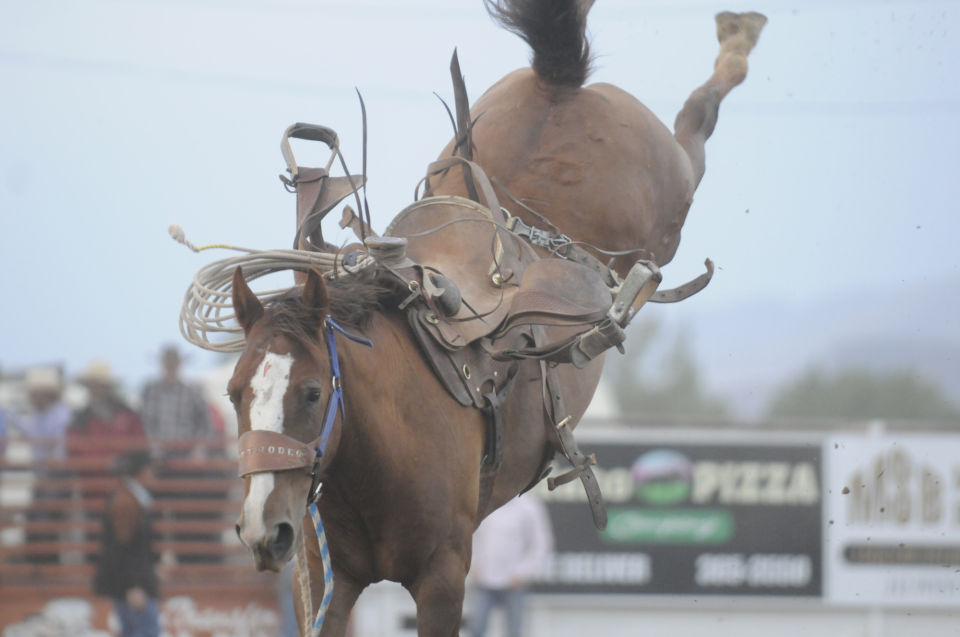 Gem/Boise County Rodeo | Photos | idahopress.com