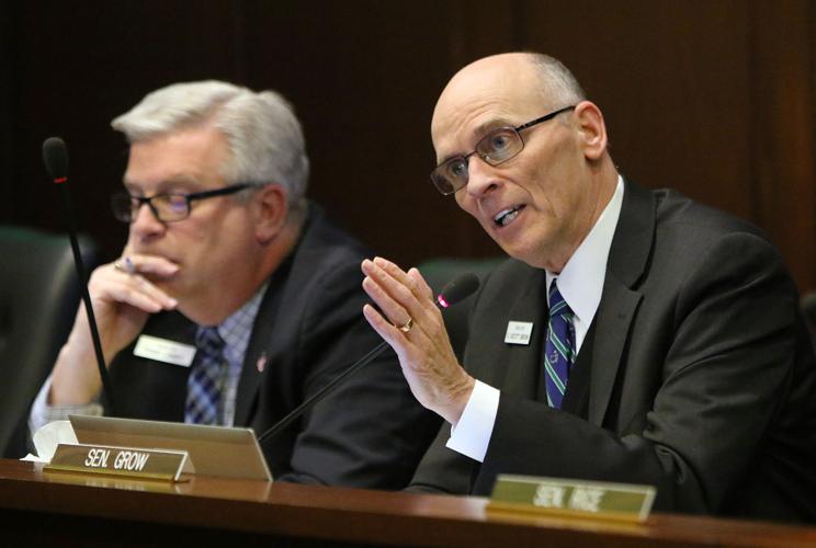 Senate Tax committee hearing (copy) GROW