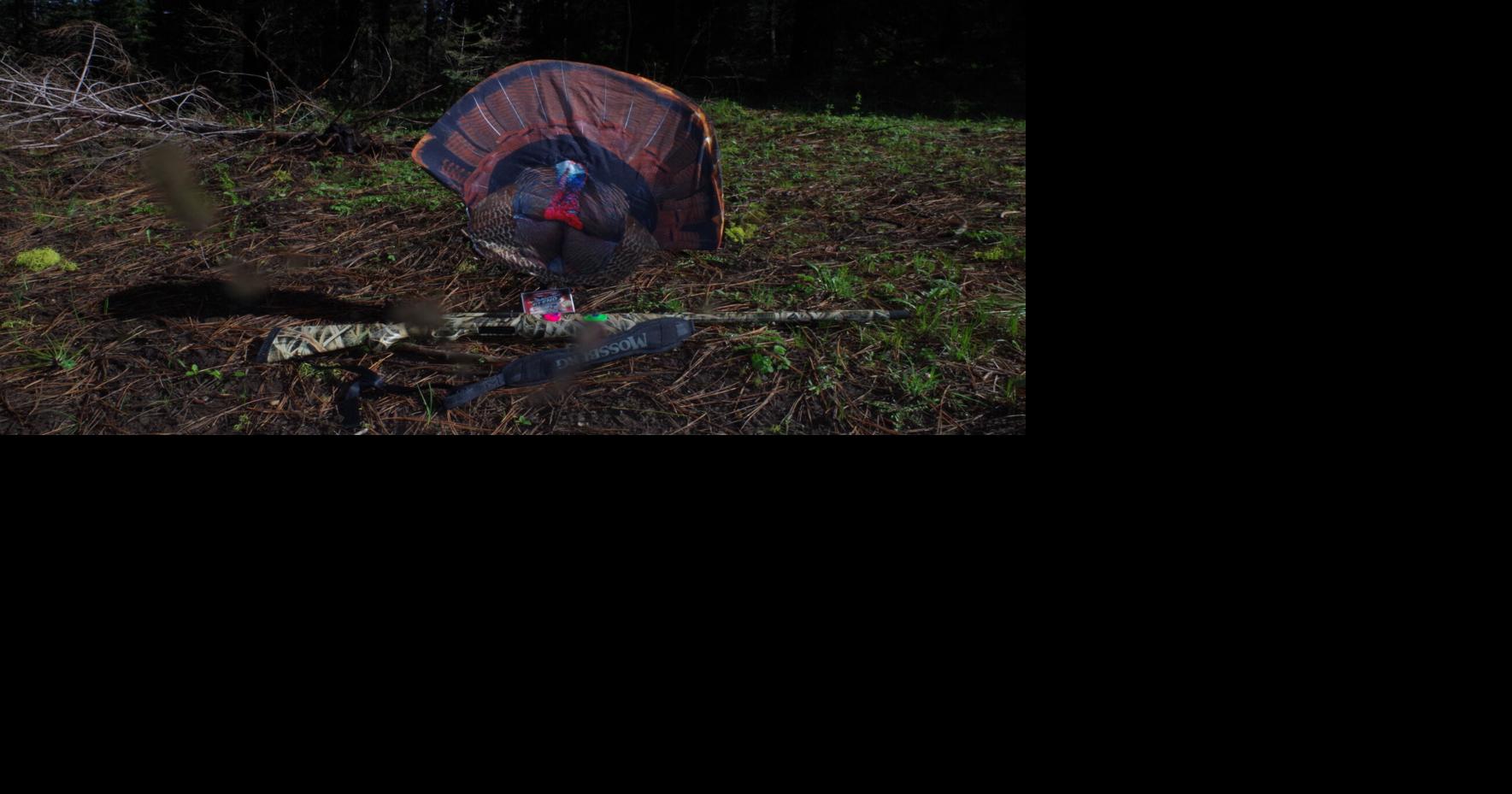 Tom Claycomb: Turkey hunting | Community | idahopress.com