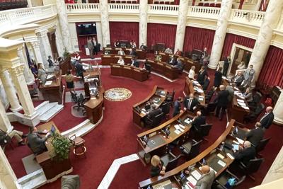 Senate AP generic 2021