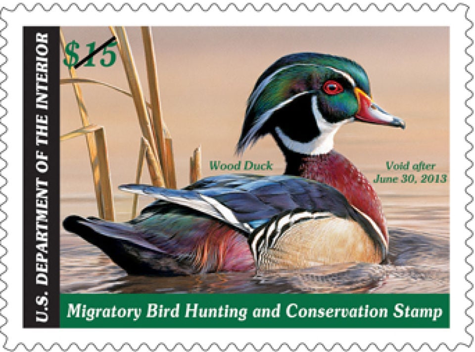 Ask Fish and Game Duck stamps Community idahopress