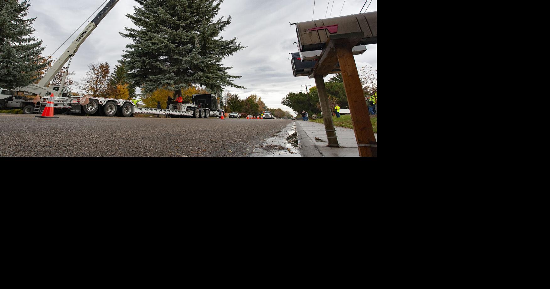 A community effort brings Nampa's Christmas tree downtown Local News