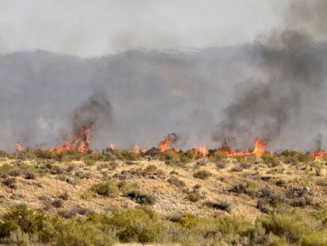 Soda Fire crawls towards Murphy | Local News | idahopress.com