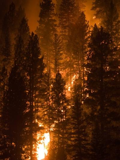 Fire crews continue to battle Idaho wildfires | Local News | idahopress.com