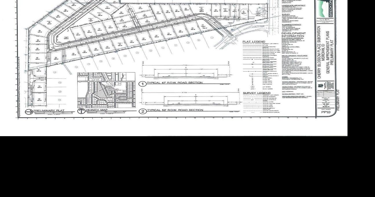 47-lot subdivision in historic Meridian gets thumbs up from Planning ...