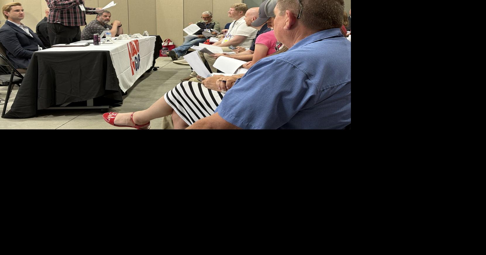 Idaho GOP delegates propose eliminating income and property taxes