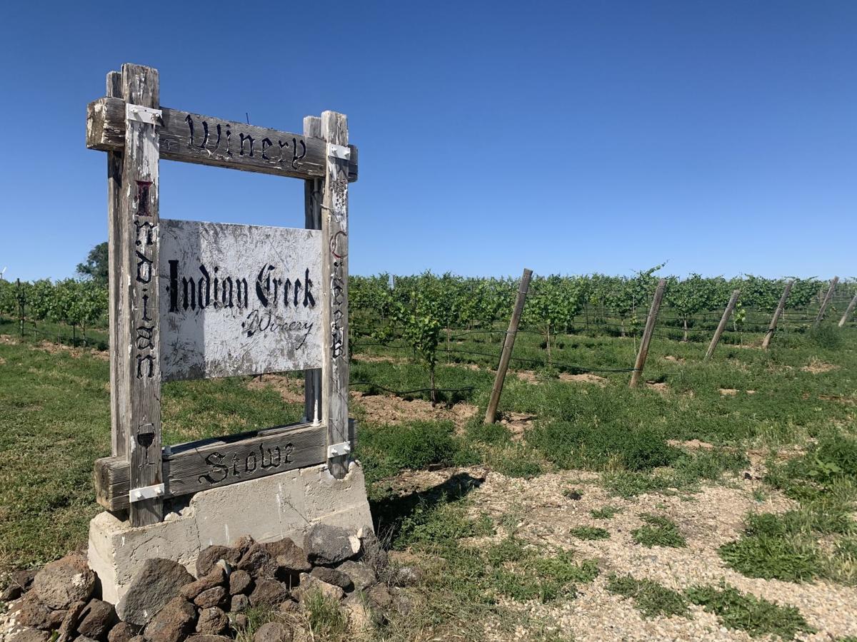 Which Way to the Wine? A tour of Idaho's wineries Food & Drink
