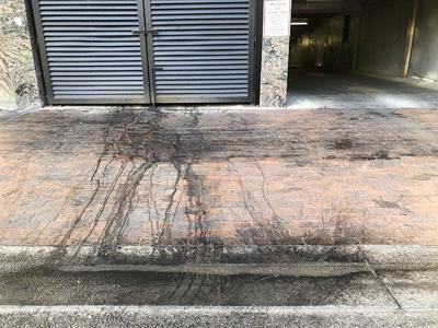 Trash collection was moved for urban renewal, but that's ...