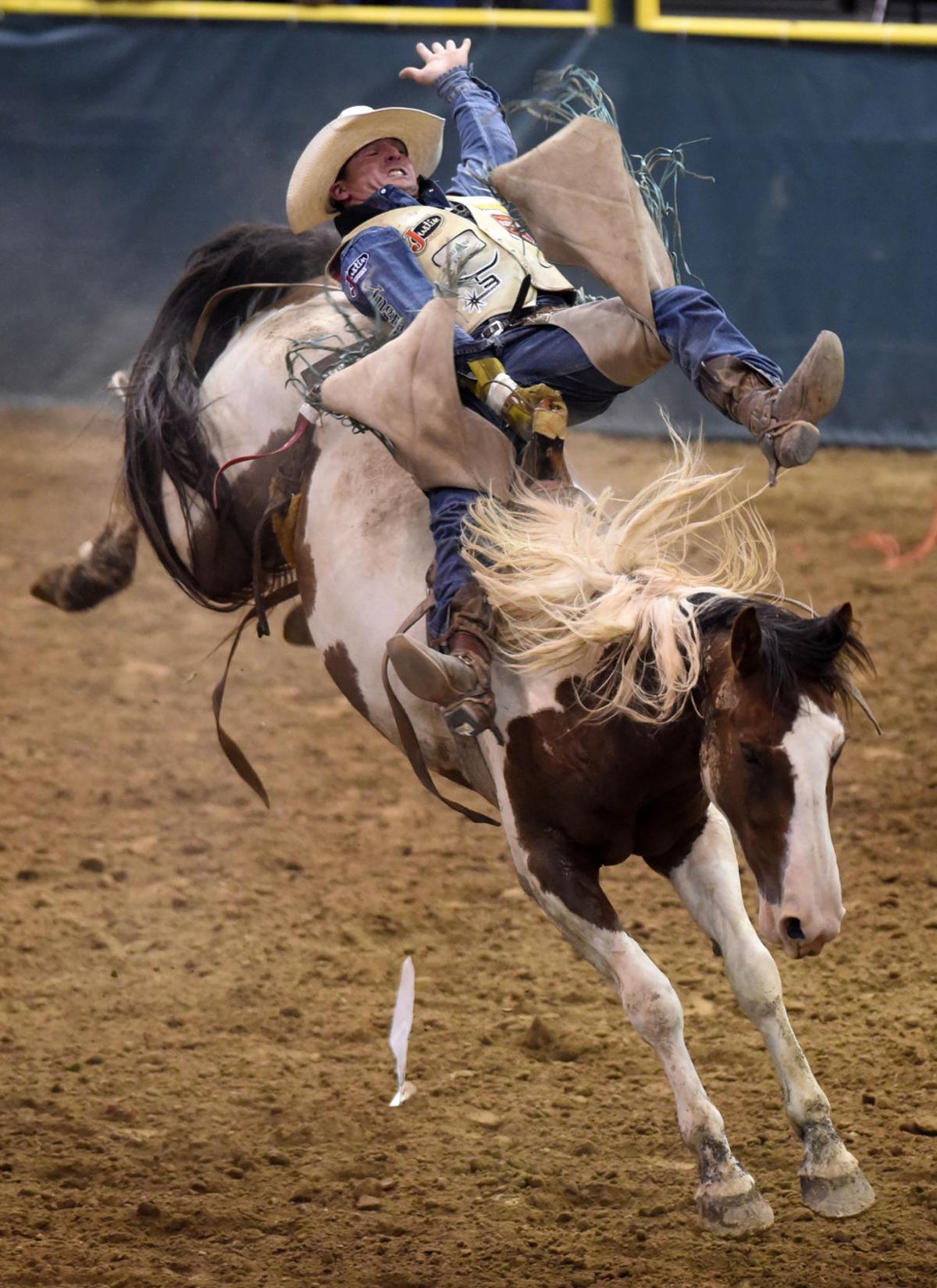 Snake River Stampede Wednesday Photos