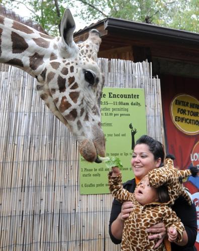 Boo at the Zoo | Local News | idahopress.com