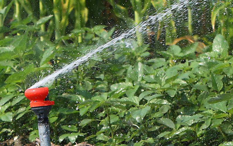 Local water districts take measures to conserve during unprecedented