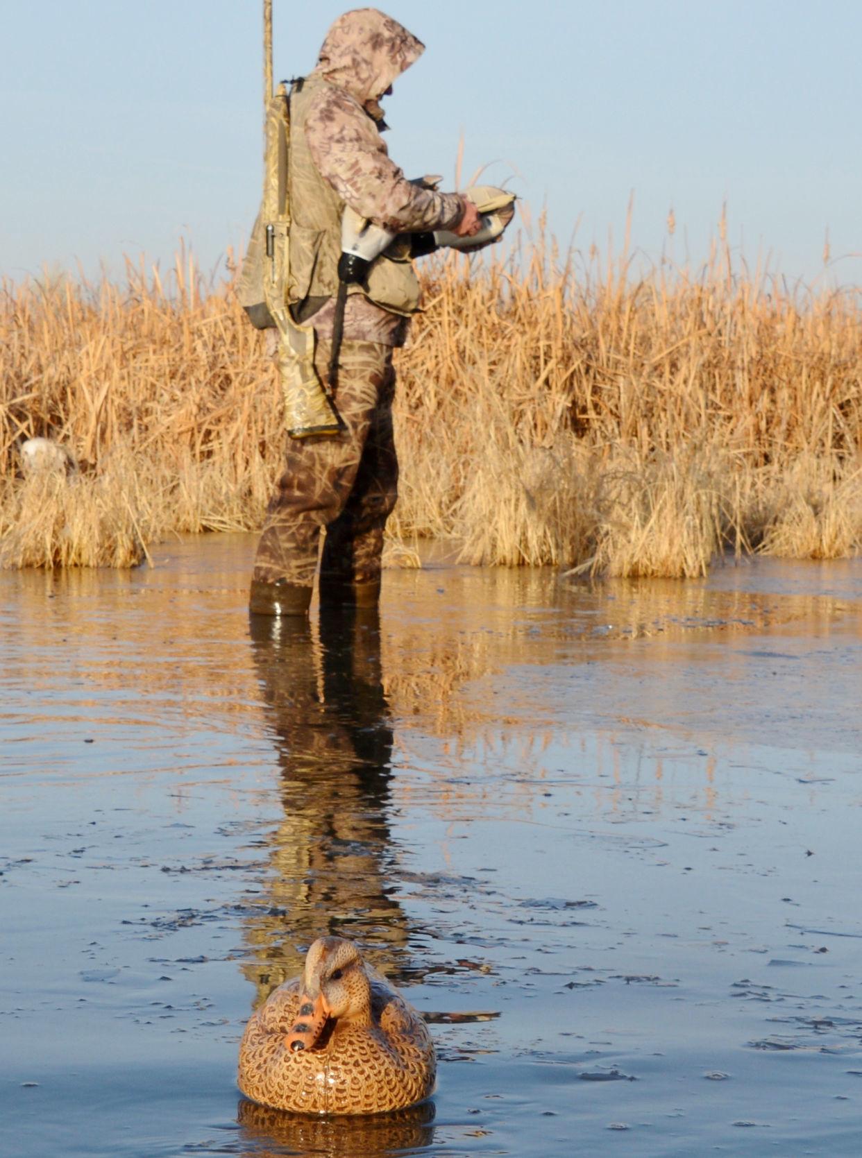 Back-to-basics duck hunting | Local Sports | idahopress.com