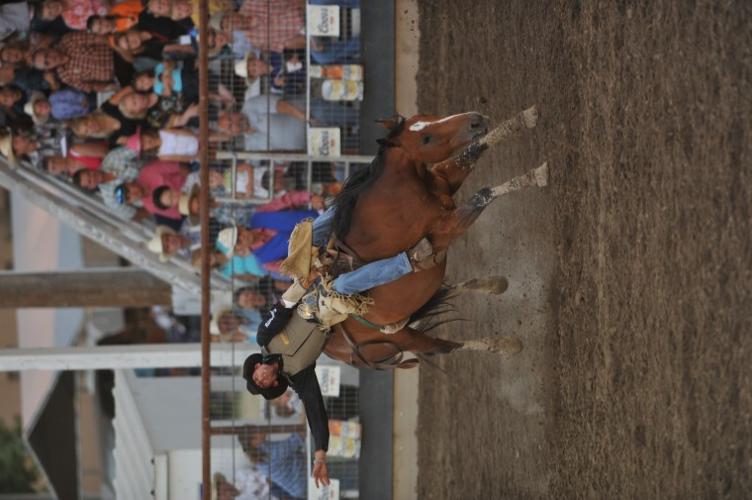 Owyhee County Rodeo Sports