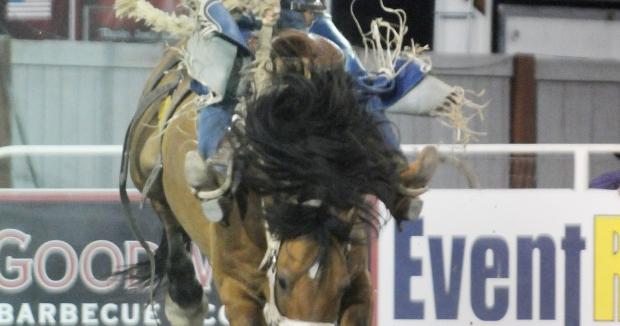 Colter Martin Rodeo Martin’s return to rodeo has been a success | Members | idahopress.com