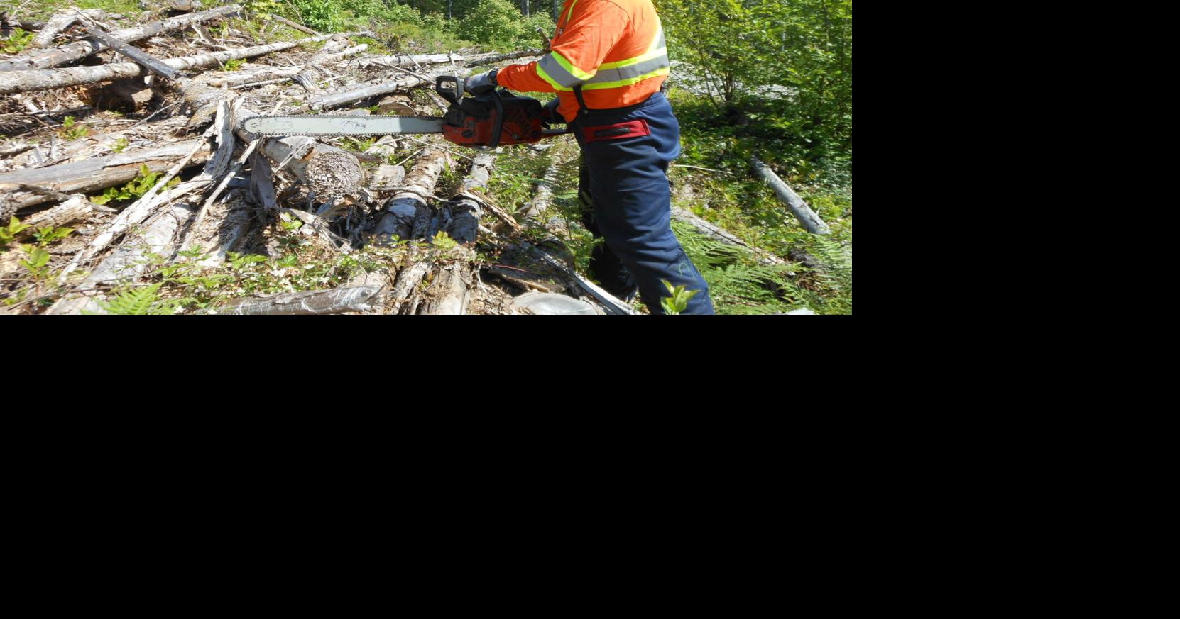 Fuelwood permits available beginning May 15 Local Sports