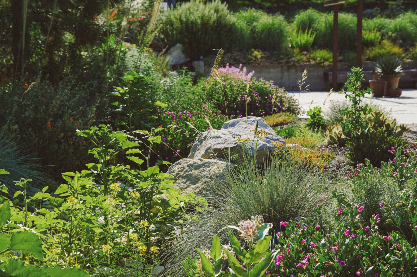 idahopress.com - Madison Guernsey - Boise Farmers Market is moving to Idaho Botanical Garden