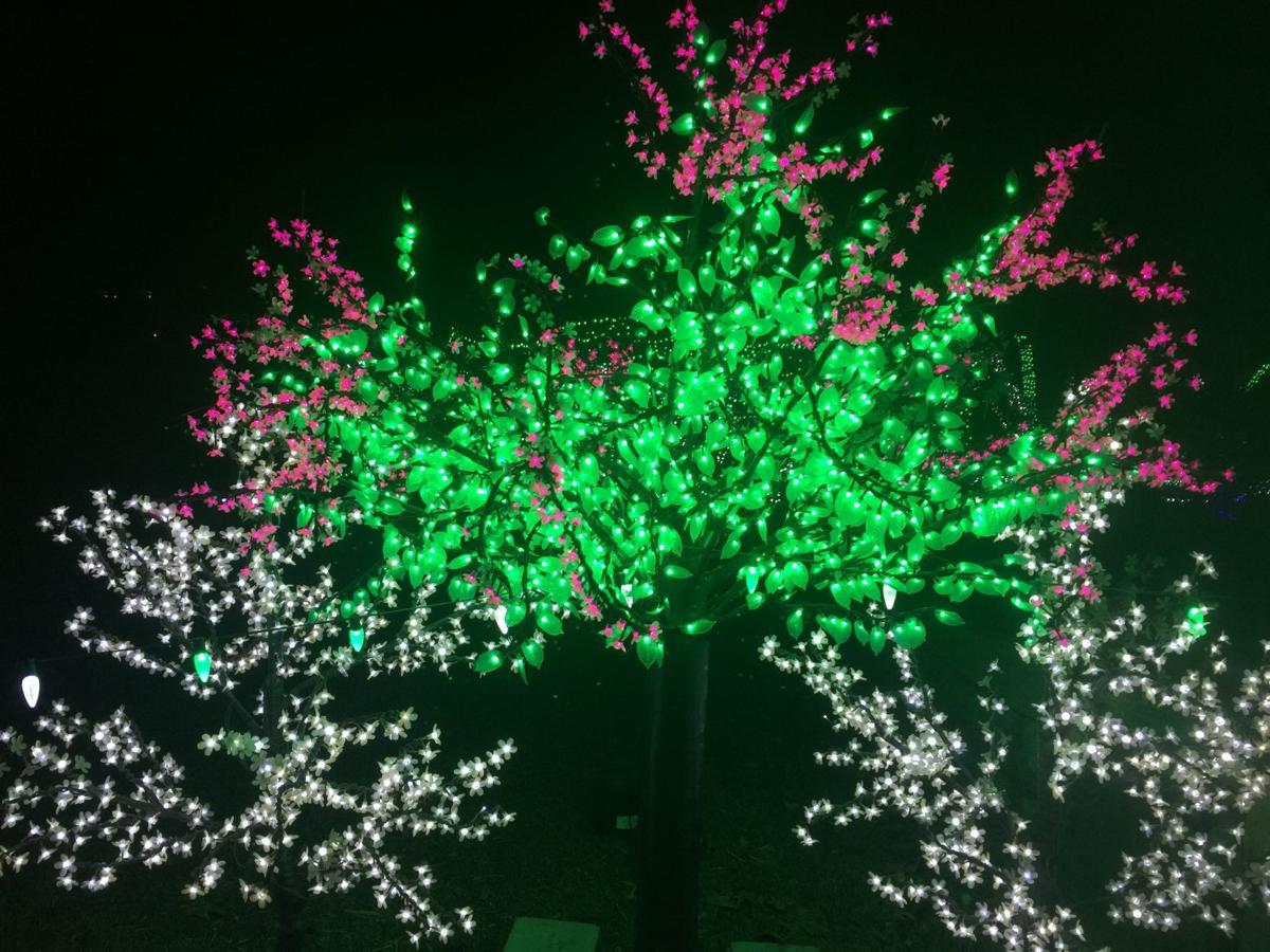 Winter Garden Aglowing But Not For Long Money Idahopress Com