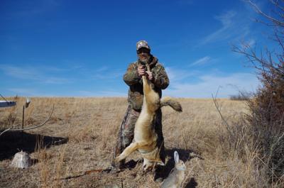 Claycomb coyote hunt