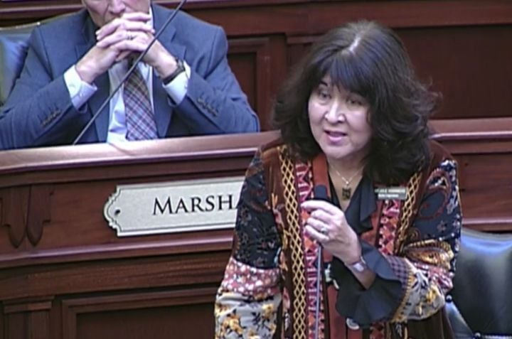 Rep. Julie Yamamoto House debate