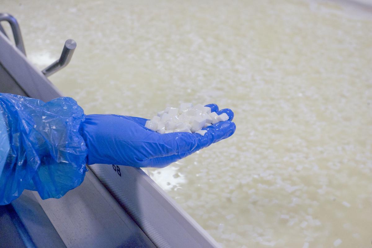 Lactalis cheese factory looks to grow, connect with Nampa community