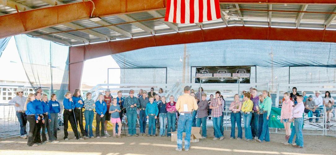 2022 Gem Boise County Fair Results Zoology
