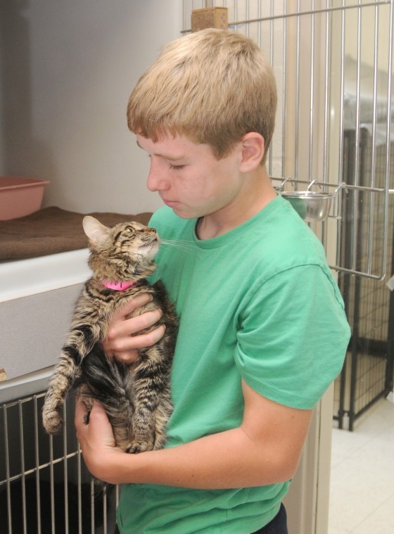 canyon county shelter