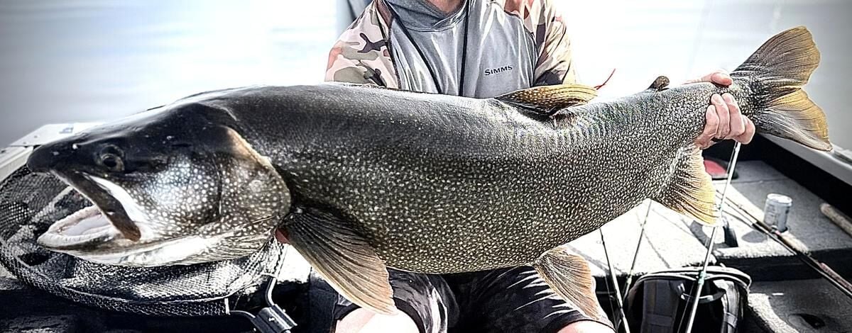 Idaho Falls angler lands 43.25-inch lake trout — and returns to