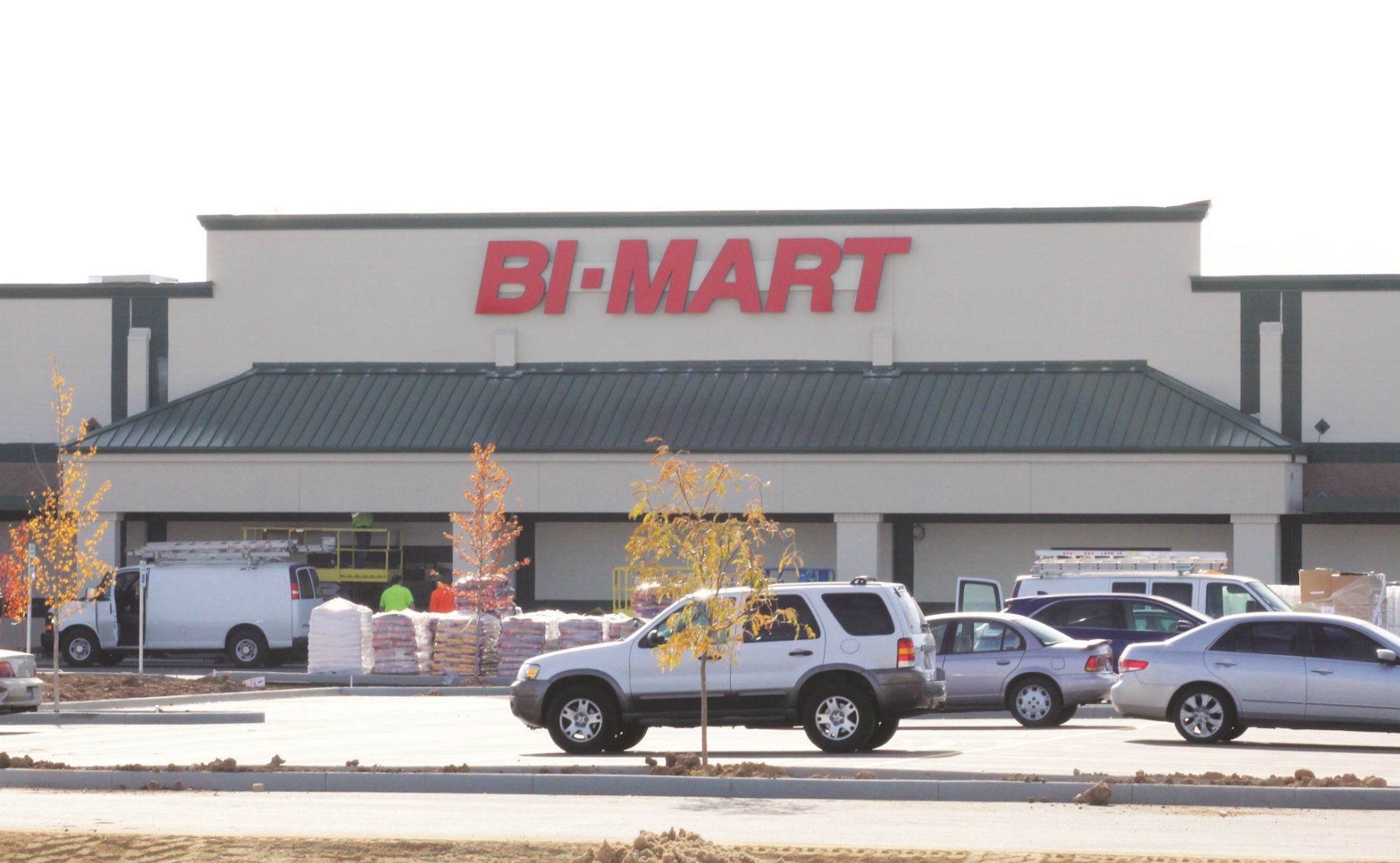 bi mart online shopping