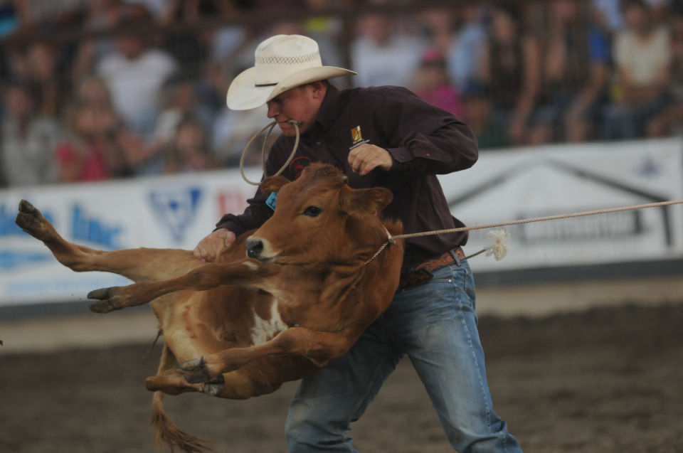 Owyhee County Fair and Rodeo Photos