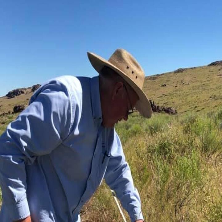 Study involving U of I, Owyhee County educator finds promise in winter  grazing of Medusahead | Local News | idahopress.com