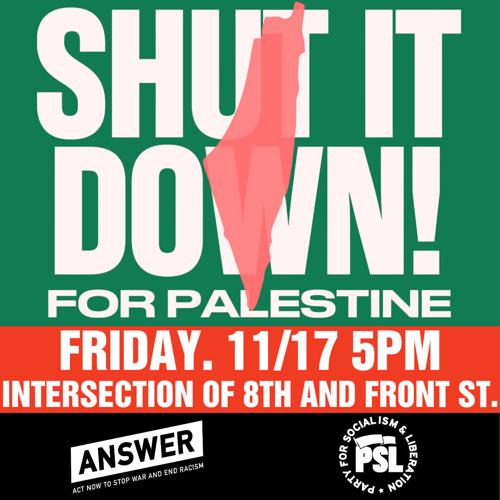 Dozens gather in downtown Boise to 'Shut it Down for Palestine' | News