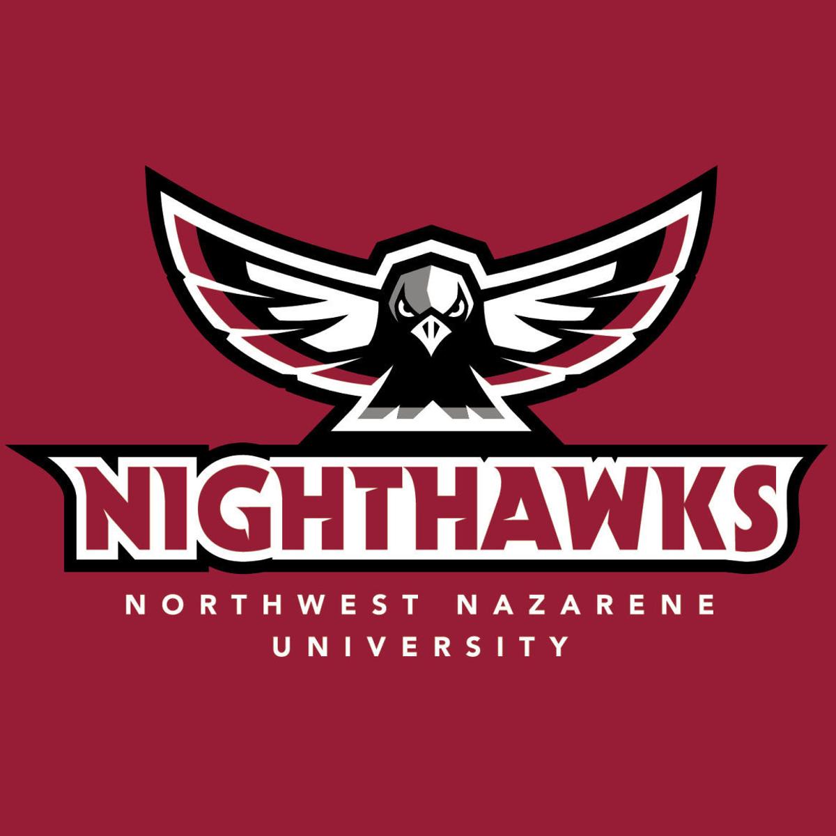 Nnu Unveils Design For New Nighthawk Mascot Local News Idahopress Com Nnu Idaho Graphic Design Courses Fall 2022